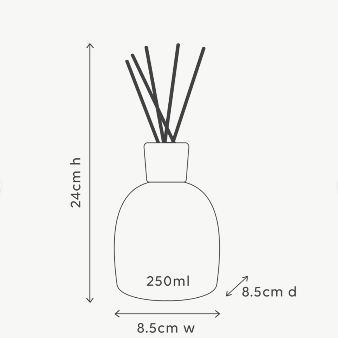 Alive Body Blackcurrant & Caribbean Wood Diffuser