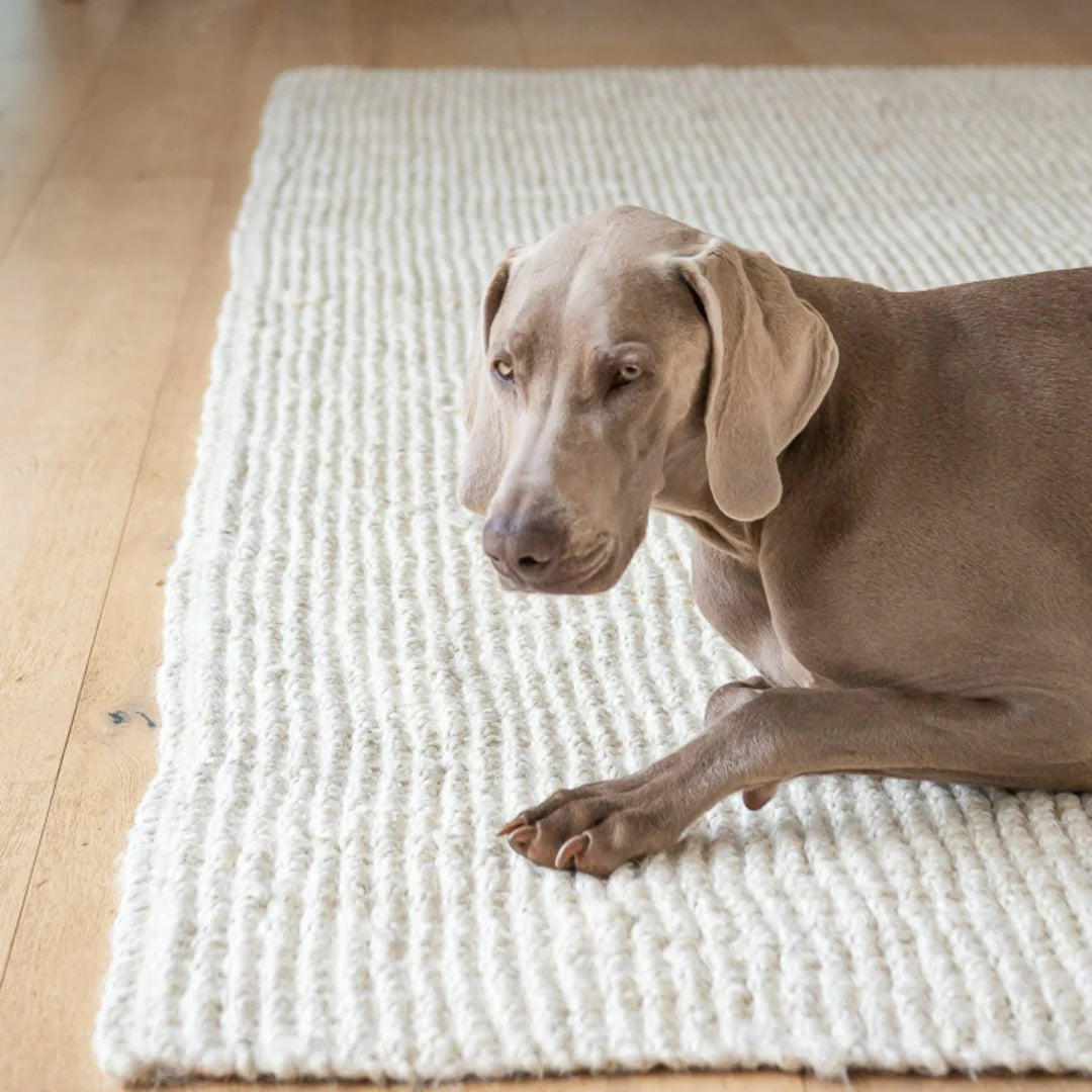 Vincent White Wash Jute Mat by Zebra Home