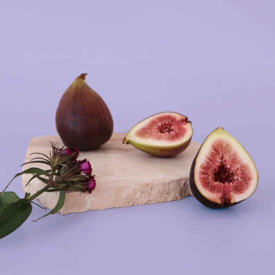 Burnt Fig & Cassis Wood Wick Candle