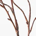 Twig Curly Willow Spray 100cm