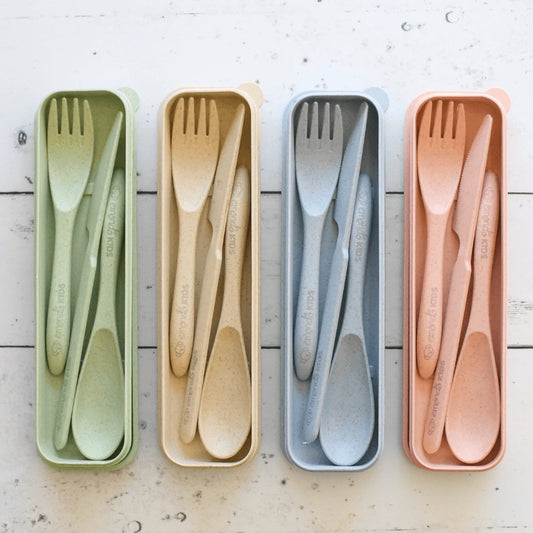 Eco Friendly Cutlery Set (Fork, Spoon, Knife and storage box)